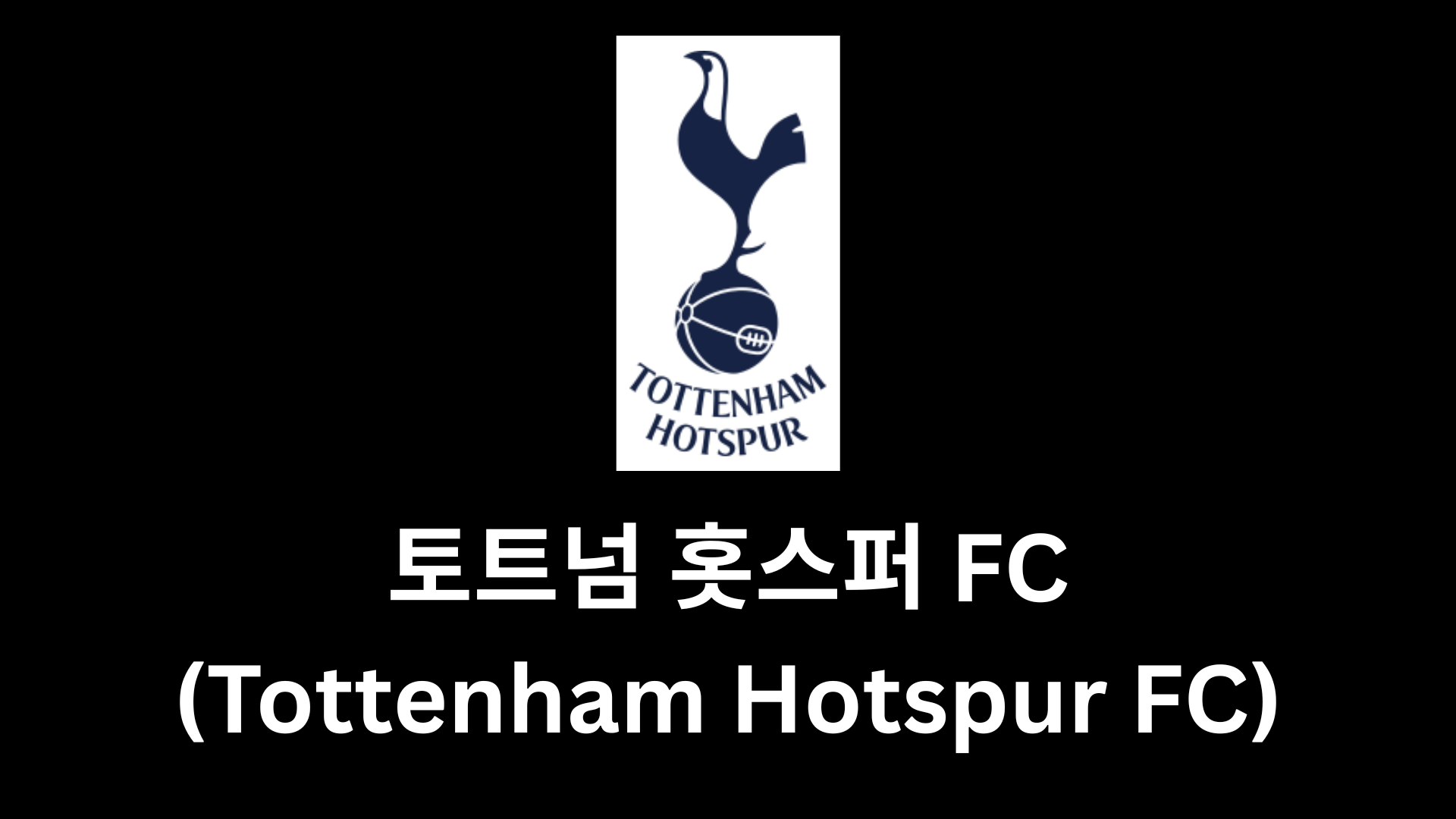 토트넘 홋스퍼 FC (Tottenham Hotspur) 2025-26