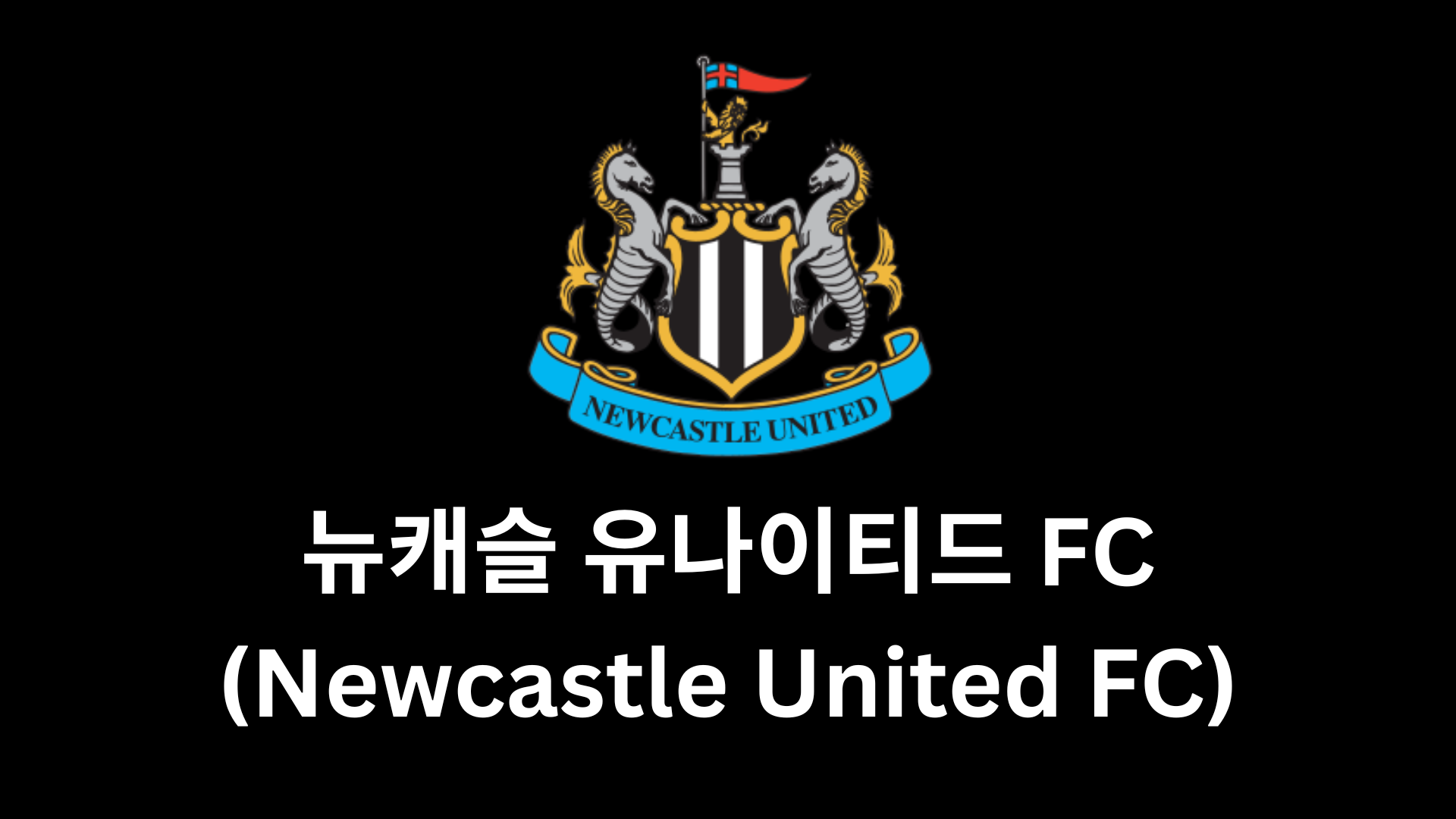 뉴캐슬 유나이티드 FC (Newcastle United) 2025-26
